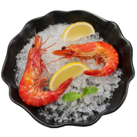 Cooked Jumbo Tiger Prawn-U10 500 g